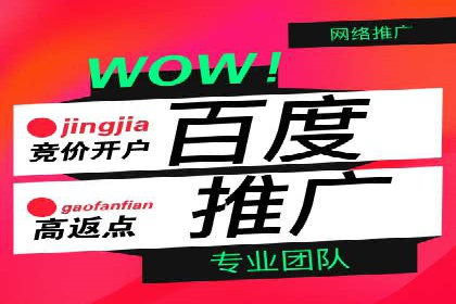 SEM推广公司案例分享：电商品牌崛起之路